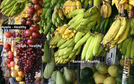 Rotten Fruits And Vegetables Classifier